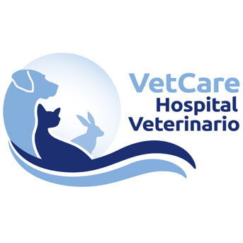 VetCare Hospital Veterinario